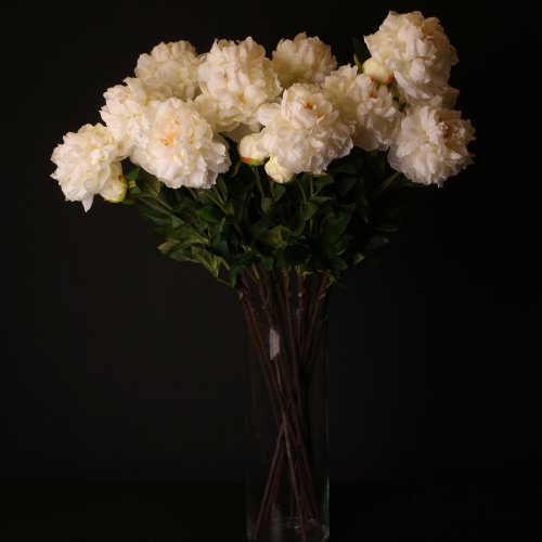 Пионы "Белые" пышные 90см